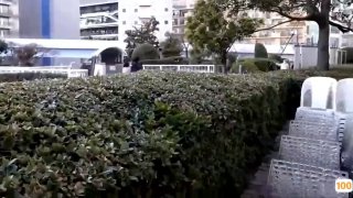 手机看片1024你懂的-免费无删减在线观看 - 巴巴影视